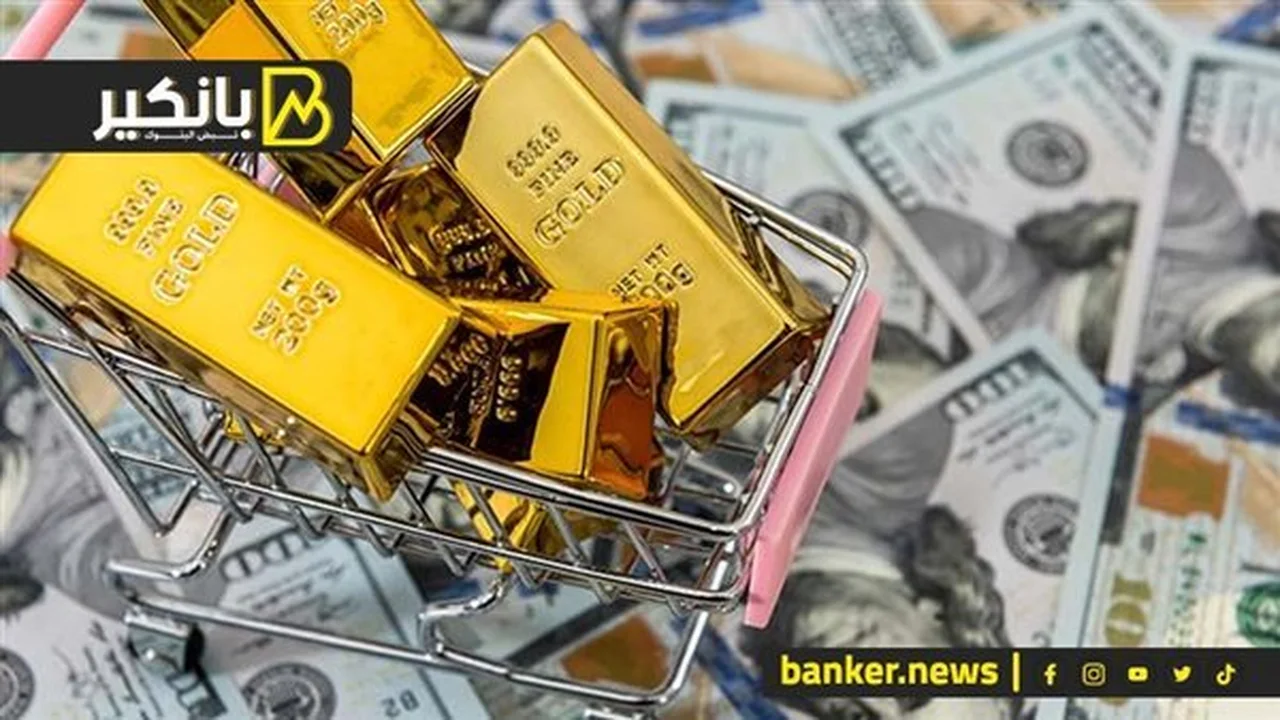 تحركات الذهب والدولار.. تنسيق جمركي جديد لتسريع حركة التجارة في مصر